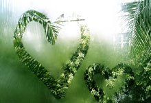 雷火电竞亚洲先驱-赛道弧线与球场魔咒，当迪巴拉的左脚统治F1之夜