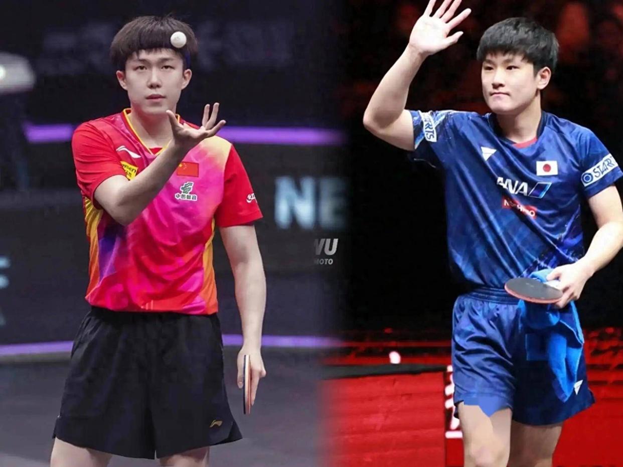 关于德国乒乓球队鏖战法国乒乓球队，张本智和爆发神勇的信息