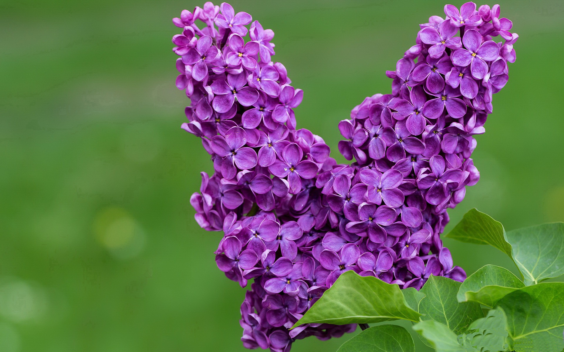 当航天城的引擎熄灭，哈登火焰独舞，迈阿密热浪宣告秩序的唯一性